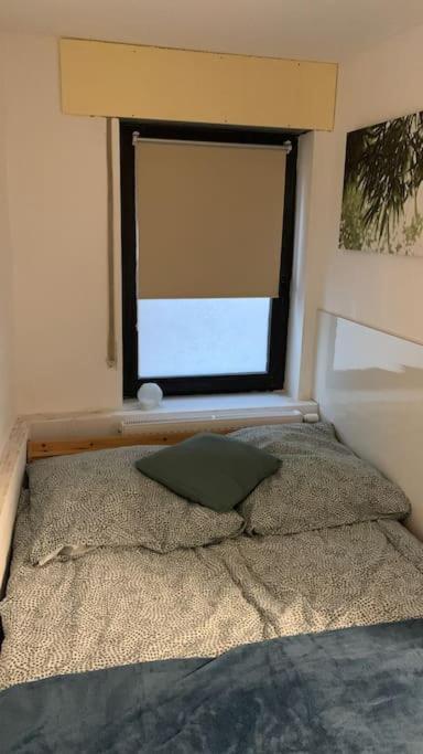 Ellerbachblick In Der Altstadt Apartment