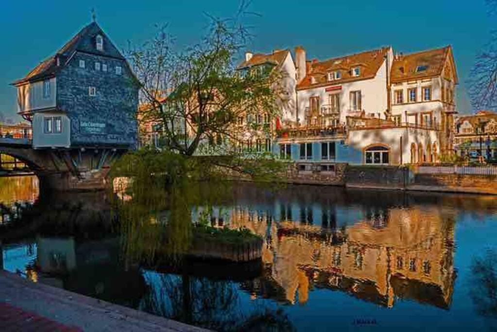 Ellerbachblick In Der Altstadt Apartment *